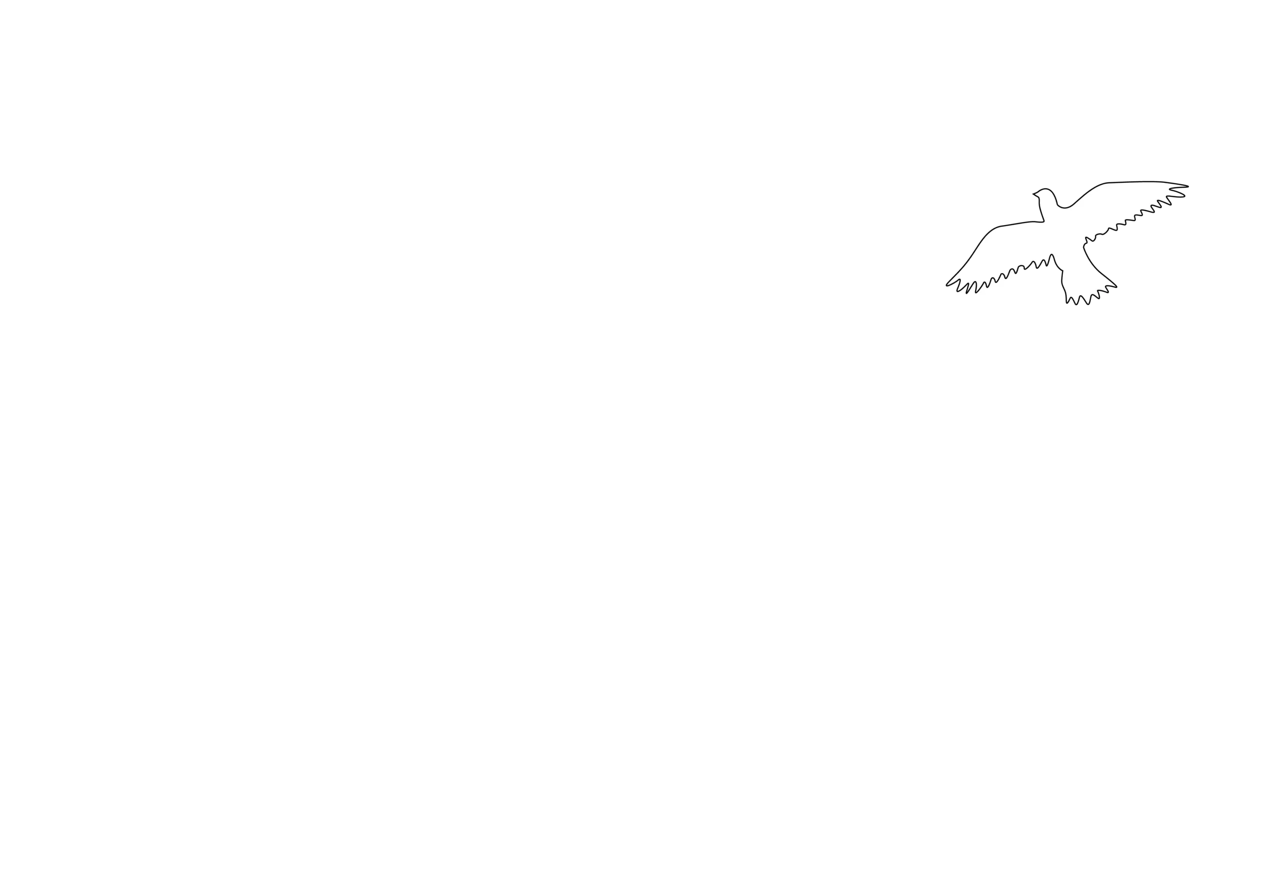 Mesa-Rim-Climbing-Centers-White-Logo